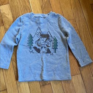 Garanimals Gray Long Sleeve Tee with Explorer Bear Design